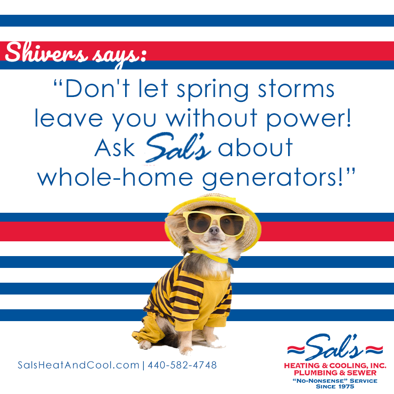 A small dog wearing yellow sunglasses and a striped outfit sits in front of a striped background with a message promoting whole-home generators from Sal's Heating & Cooling.